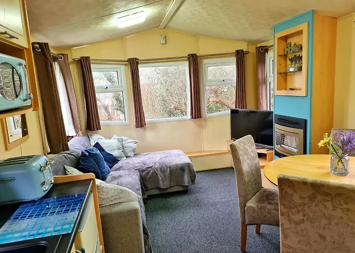 95 Newquay Bay Resort Dog Friendly