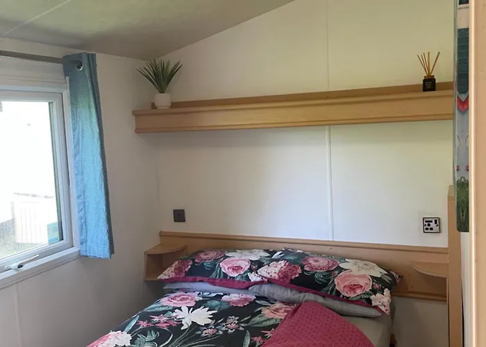 95 Newquay Bay Resort Dog Friendly