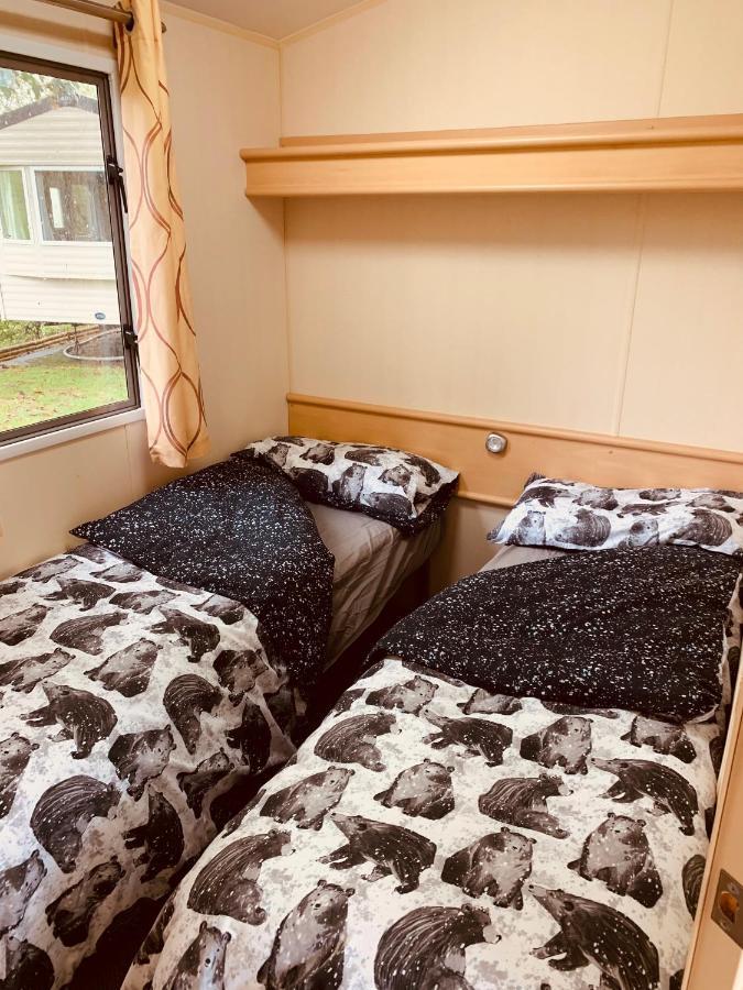 95 Newquay Bay Dog Friendly Newquay (Cornwall)