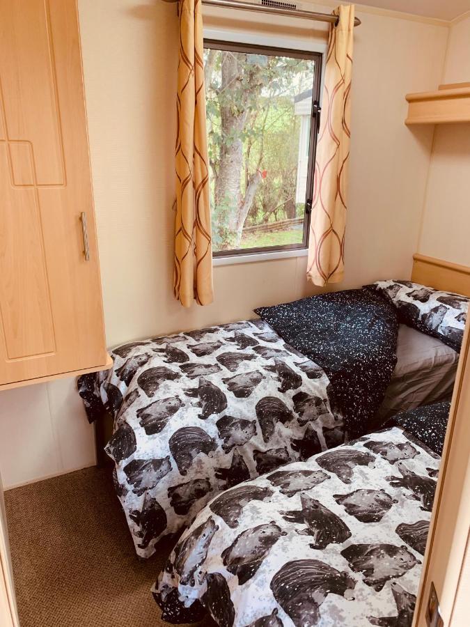95 Newquay Bay Dog Friendly Newquay (Cornwall)